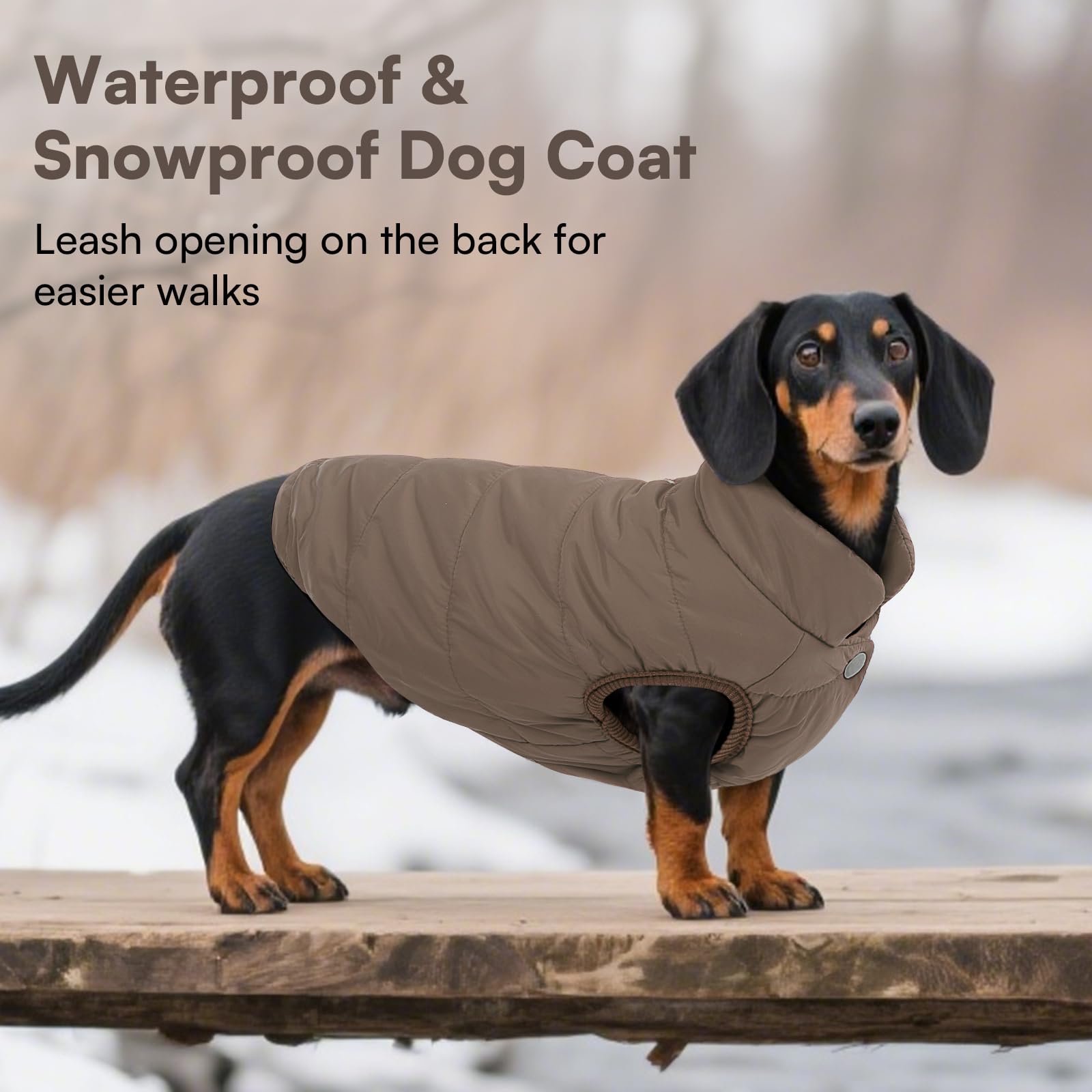 ASENKU dog winter coat four snaps on for quick on/off