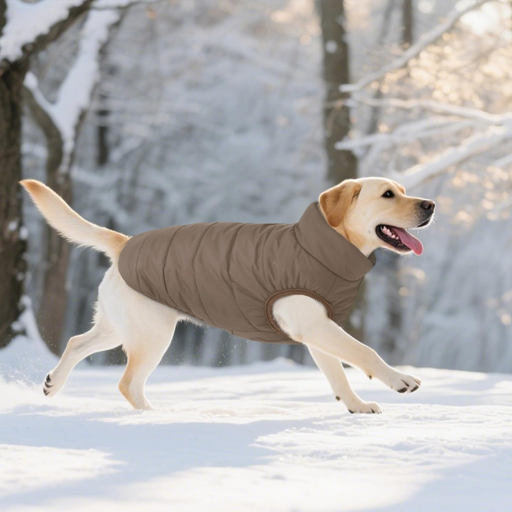 ASENKU dog winter coat inside fleece for added warmth