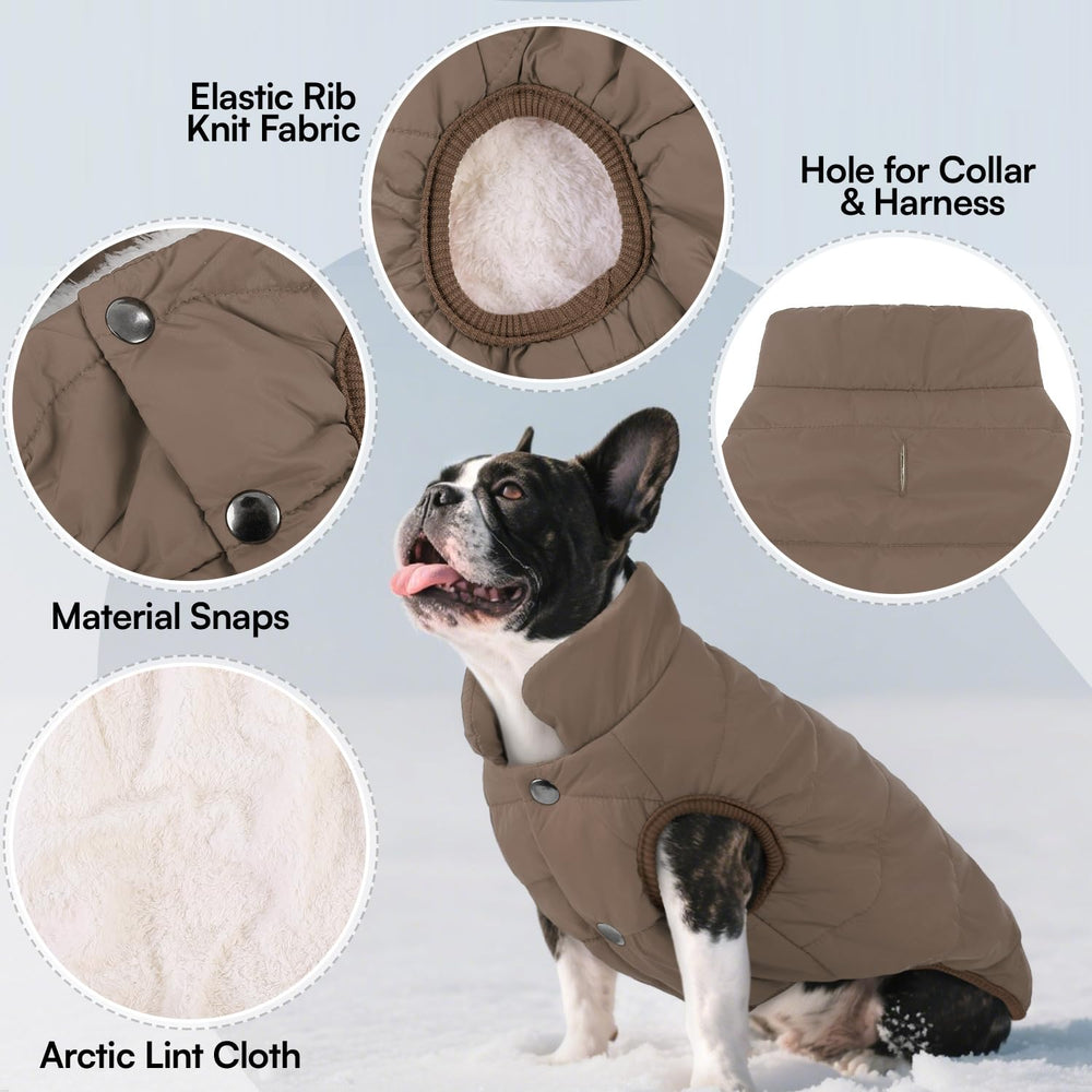 ASENKU dog winter coat waterproof back view showing full coverage