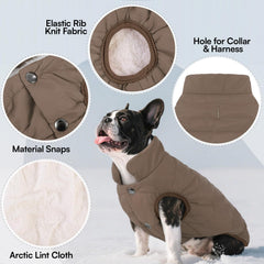 ASENKU dog winter coat waterproof back view showing full coverage