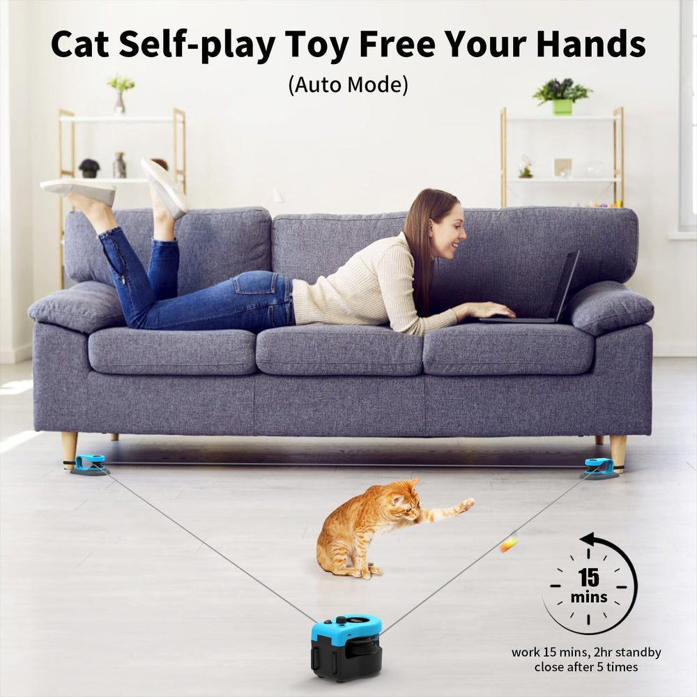 AsFrost cat toy feather replacements for varied, stimulating play and novelty.
