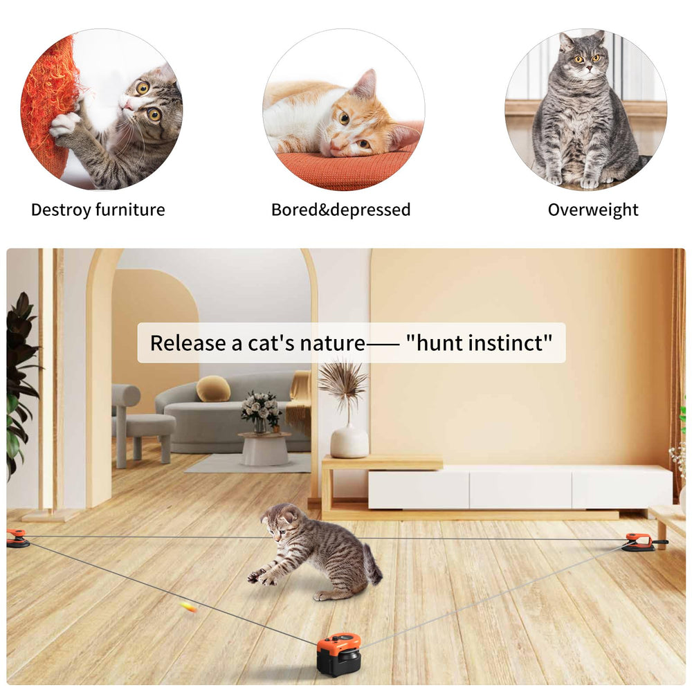 AsFrost upgraded cat toy treadmill DIY path setup shows customizable routes.