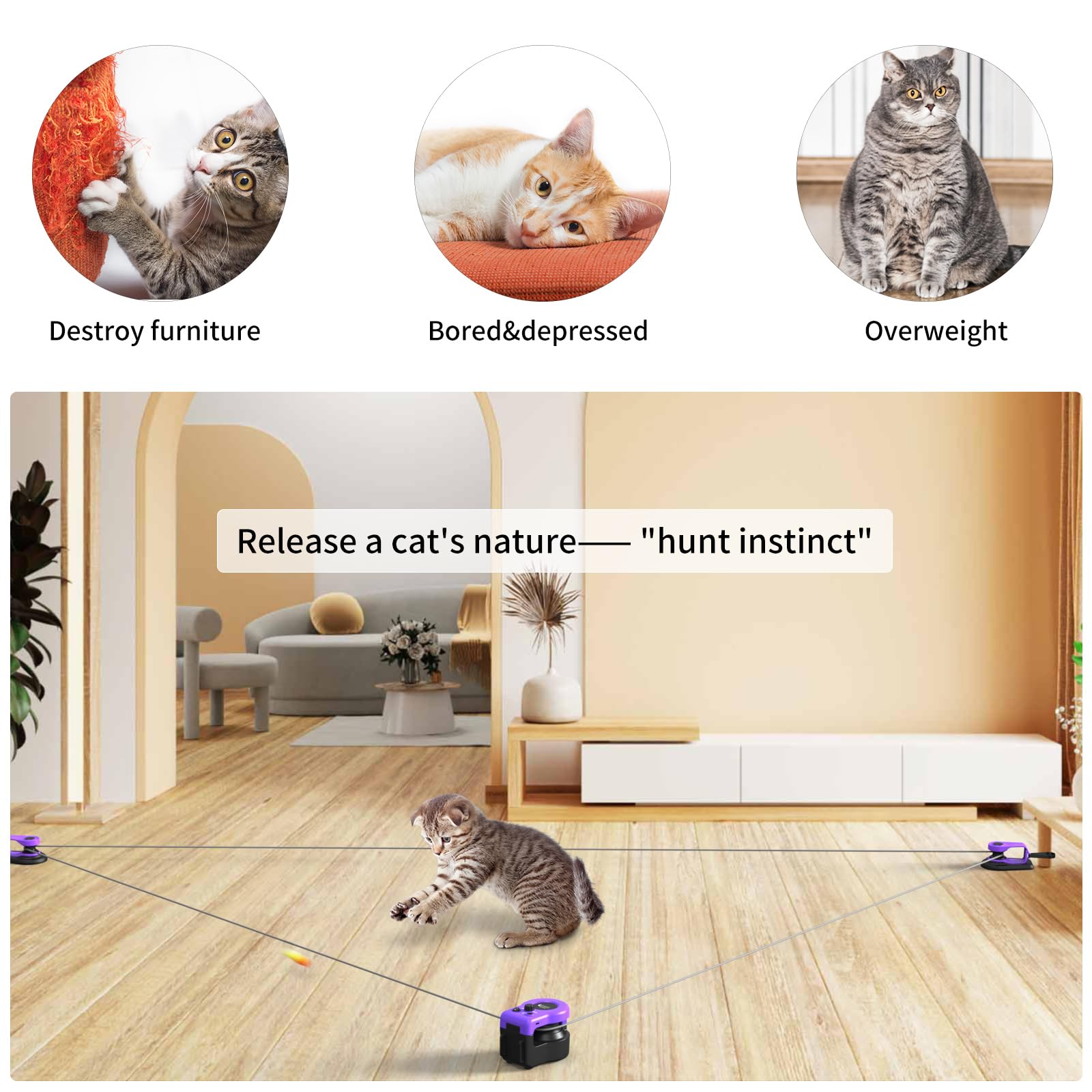 AsFrost Upgraded Interactive Cat Toy DIY trajectory clips enable customizable chase paths.