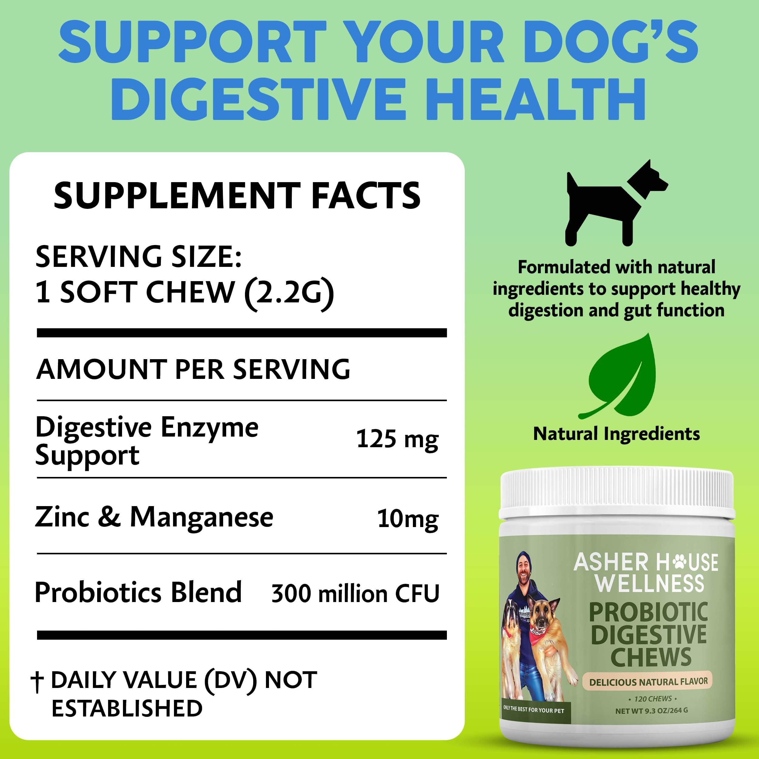 Asher House Wellness probiotics dog chews close-up texture highlights natural flavor.