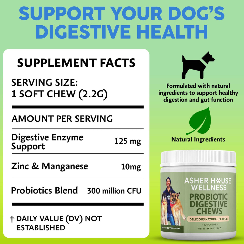 Asher House Wellness probiotics dog chews close-up texture highlights natural flavor.
