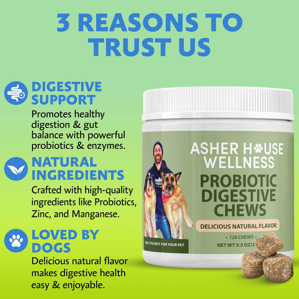 Asher House Wellness probiotics dog chews crumble into food for easy daily use.