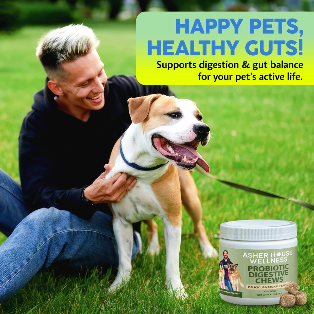 Asher House Wellness probiotics dog chews suitable for all sizes, including puppies.
