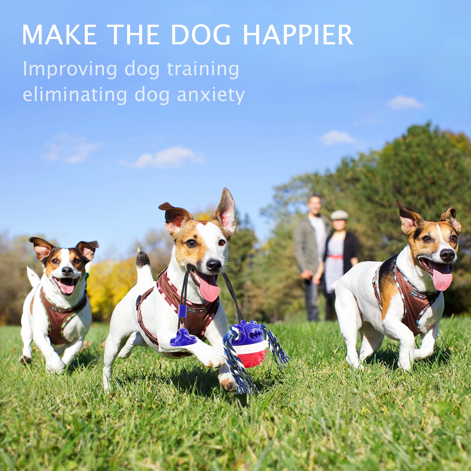 Askhald easy-clean dog toy design for quick cleanup after play
