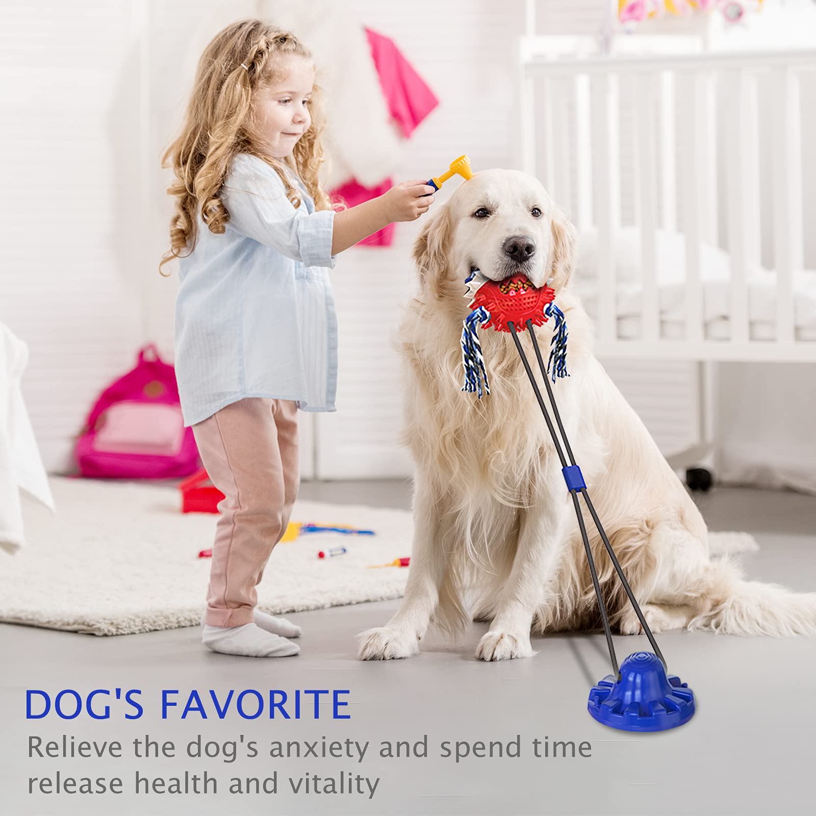 Askhald upgraded suction cup dog toy showing stronger hold in action