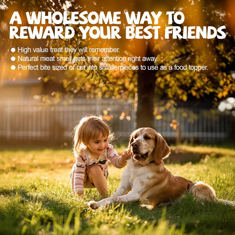 ASMPET dog jerky rawhide-free and easy to digest