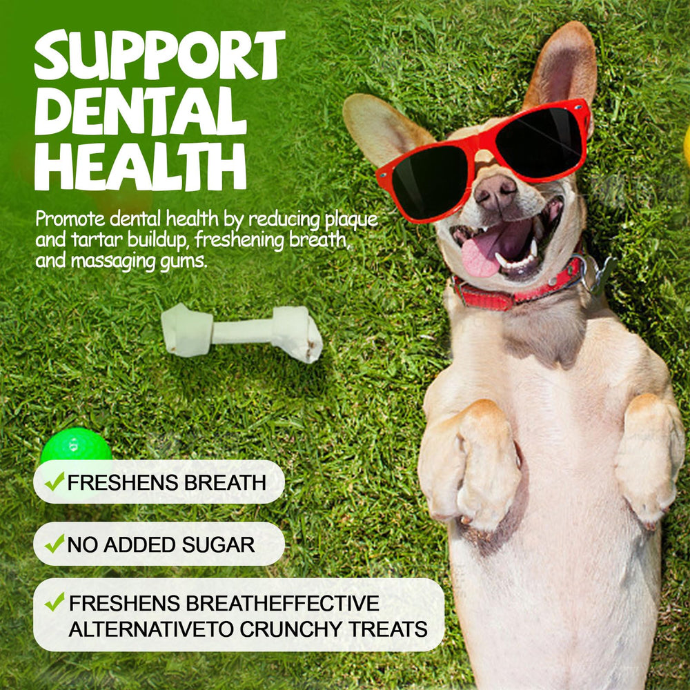 ASMPET dog jerky suitable for small to large dogs