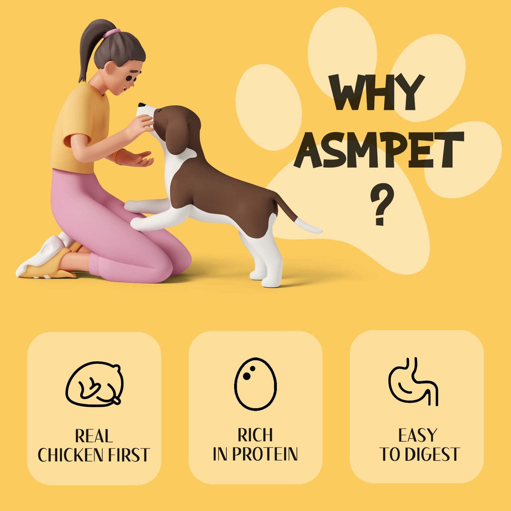 ASMPET dog training setup with jerky, ideal for rewards and bonding.