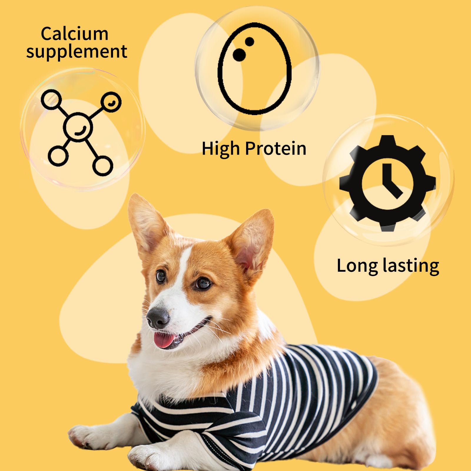 ASMPET rawhide-free chew demonstrates safer digestibility and chew-friendly design.