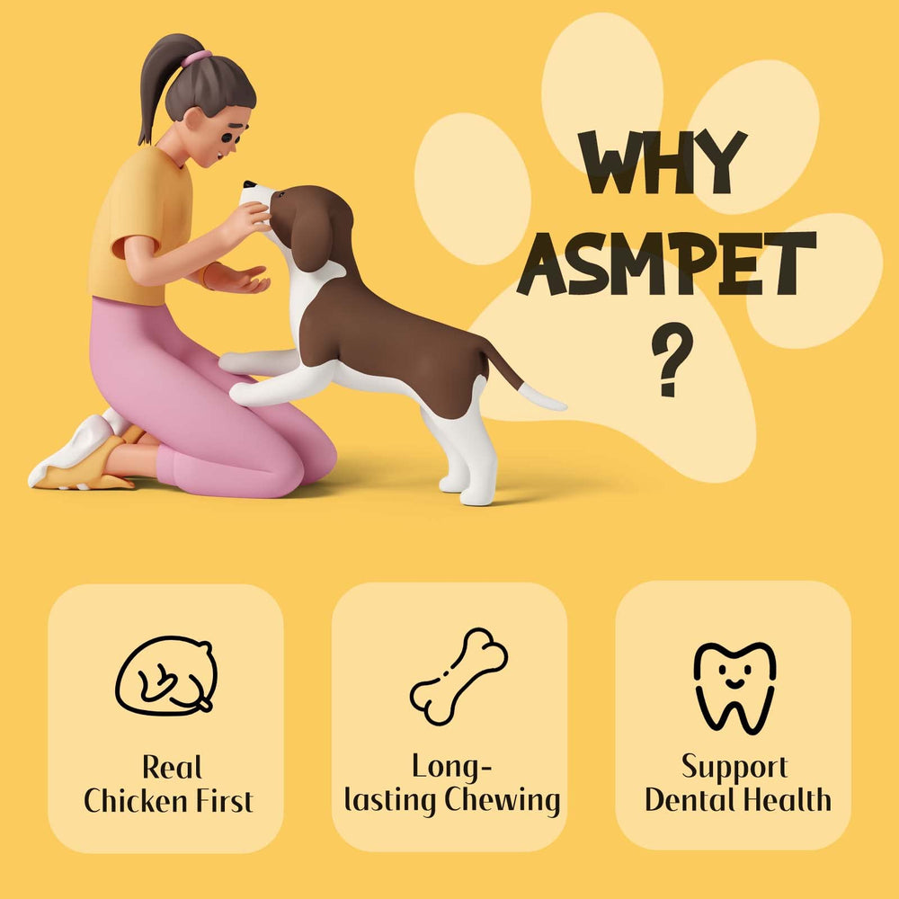 ASMPET dog treats puppy to adult friendly: versatile chews for growing dogs and steady routines.