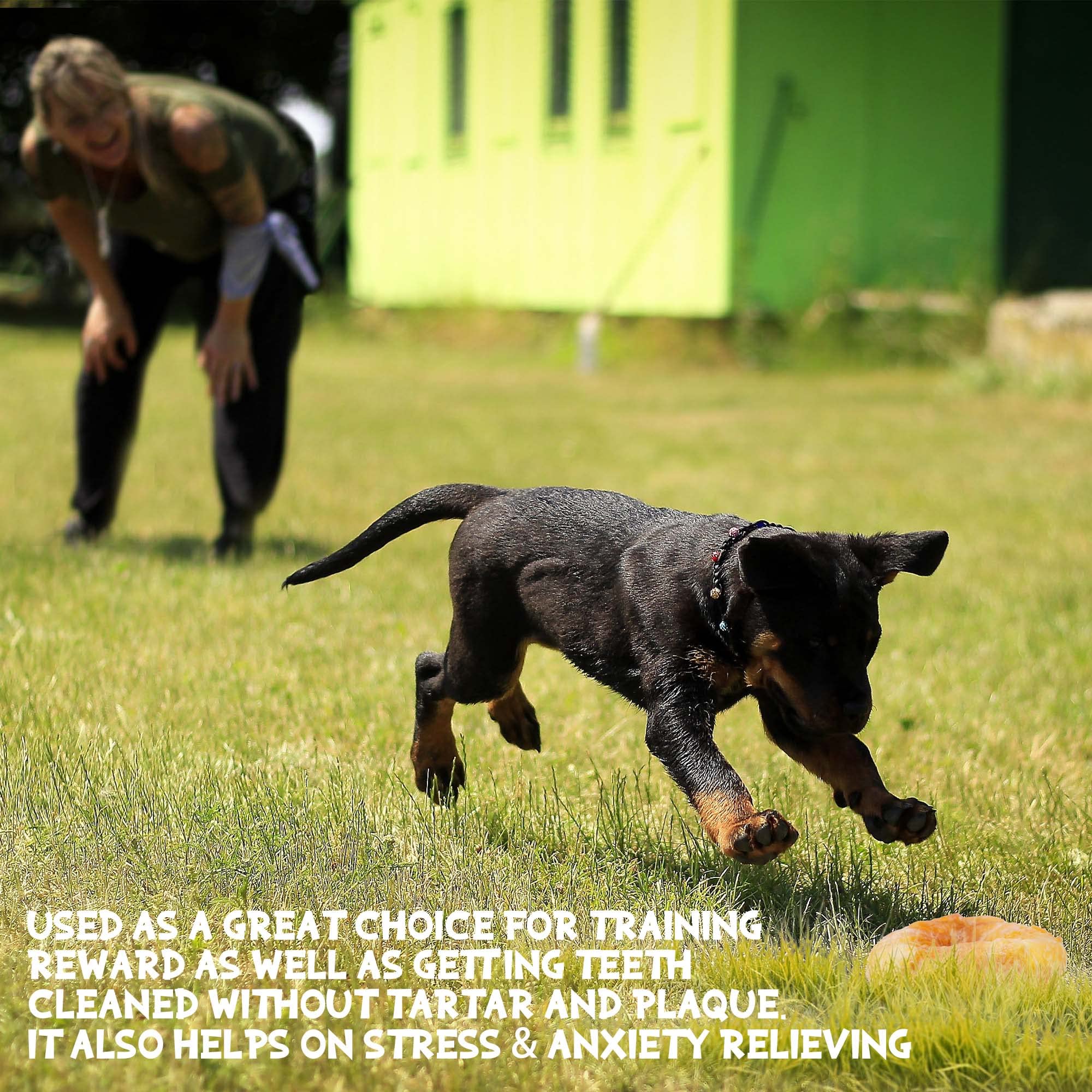 ASMPET natural rawhide donuts may support joints and coat through collagen-rich ingredients.