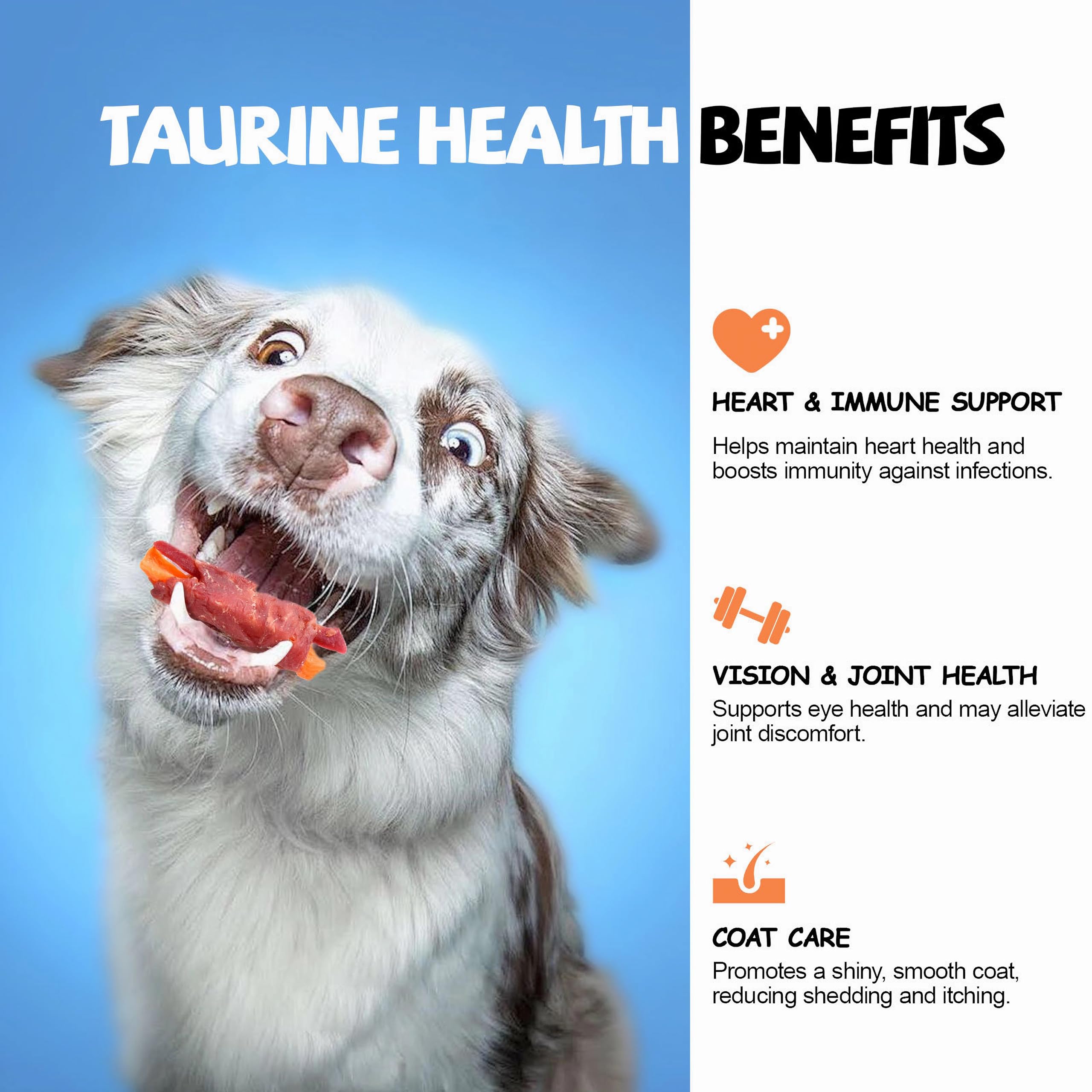 ASMPET Rawhide-Free Dog Chews banner highlights safe, allergy-friendly option for dogs.