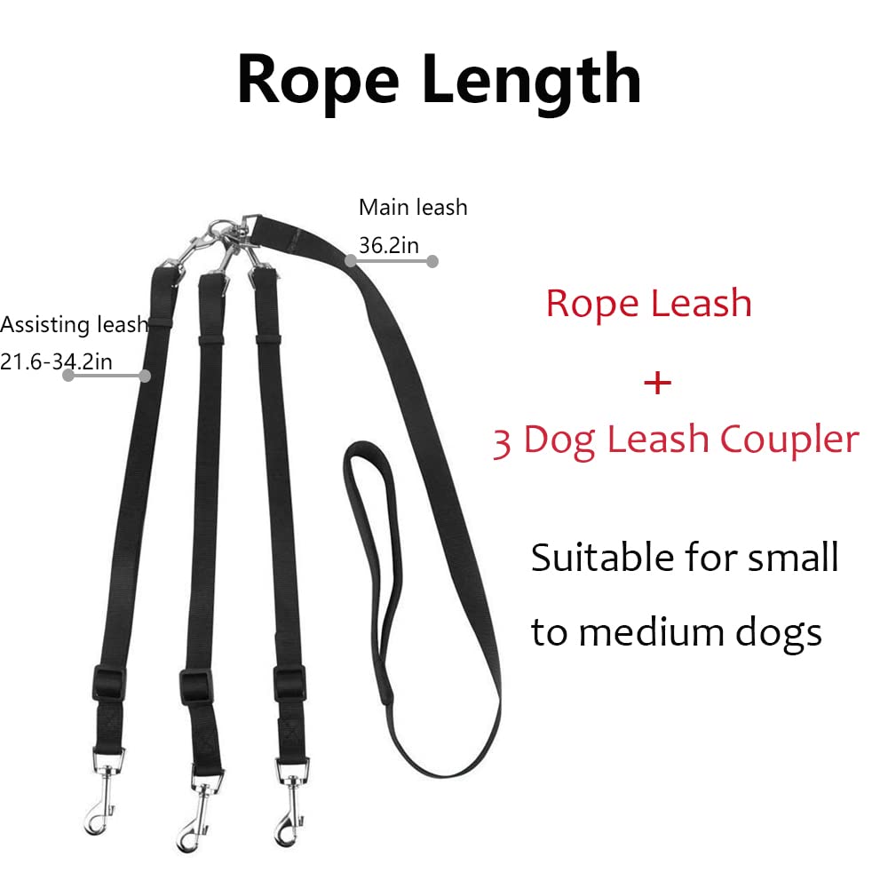 ASOCEA 360-swivel dog leash action shows tangle-free movement during multi-dog walks.