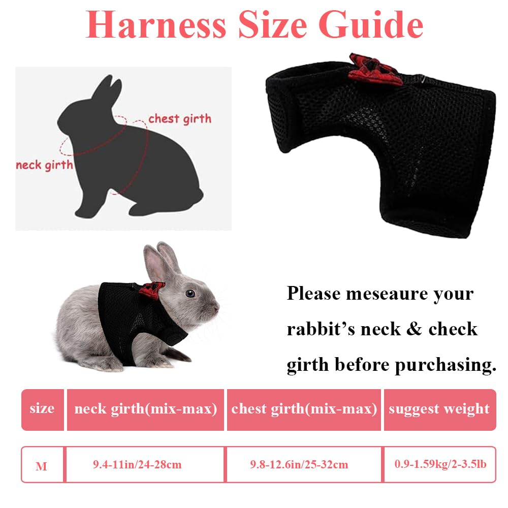ASOCEA harness back view shows easy adjustability for perfect fit