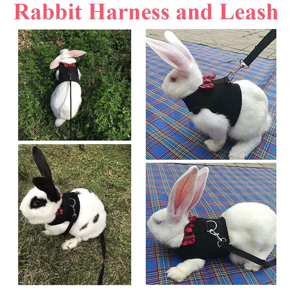 ASOCEA breathable mesh harness closeup highlights lightweight comfort