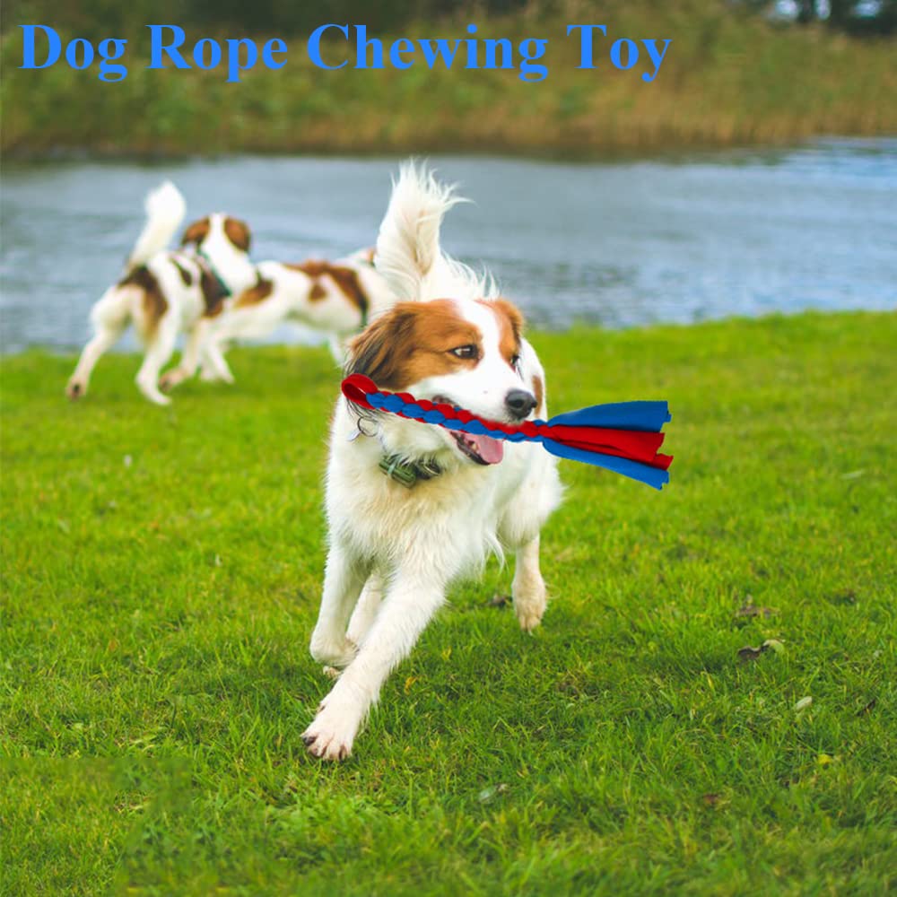 ASOCEA outdoor toy for chases and training on walks or parks
