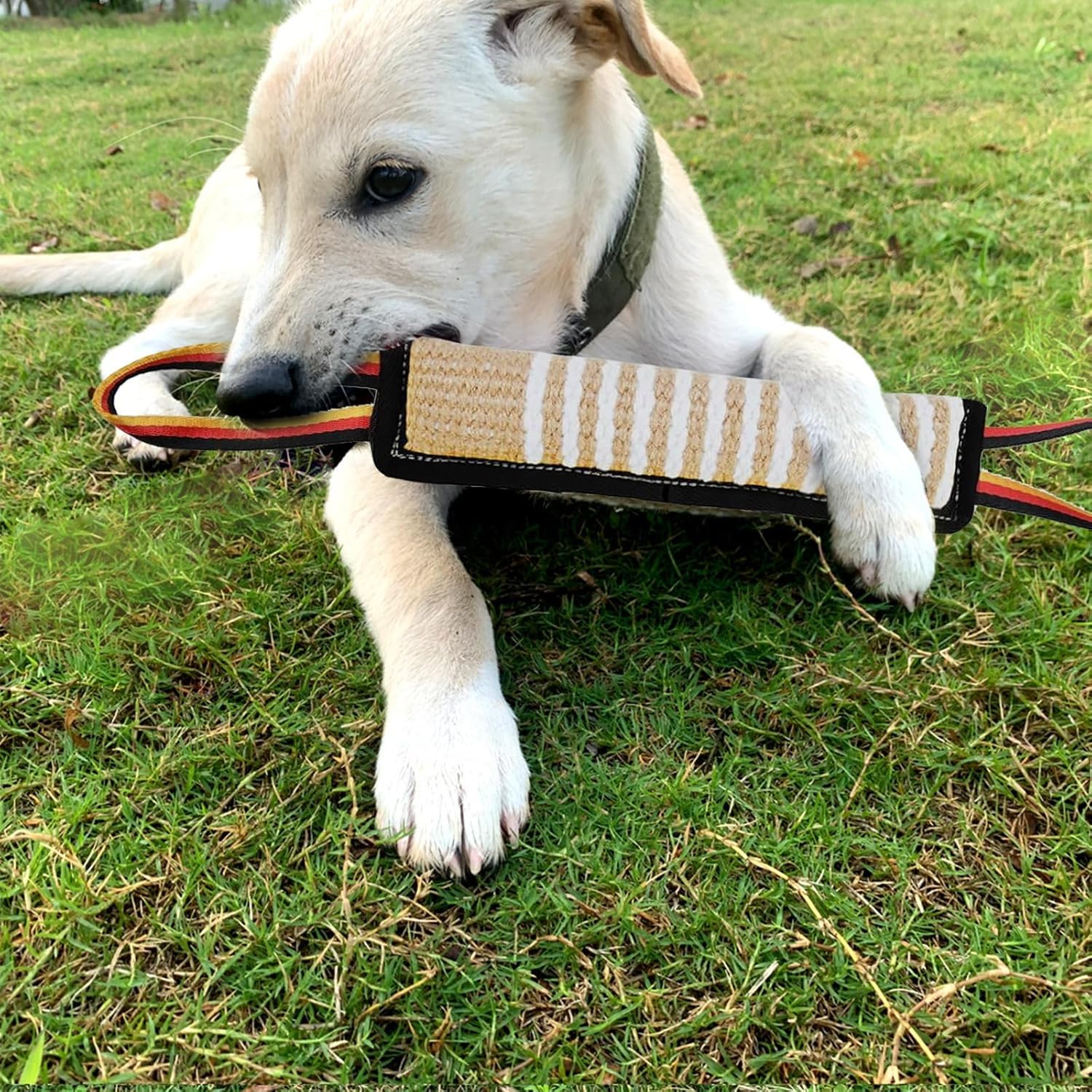ASOCEA tug toy for pull games indoors or outdoors