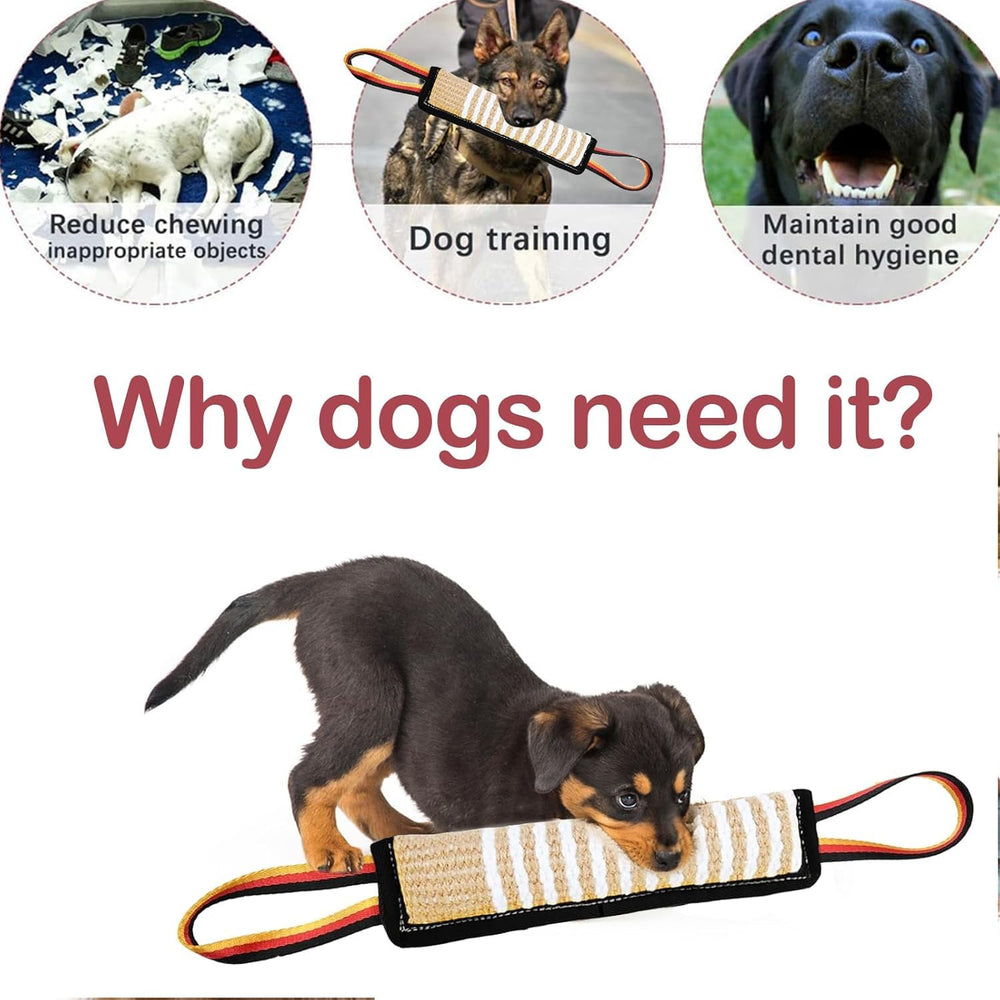 ASOCEA interactive dog toy for indoor/outdoor tug and fetch