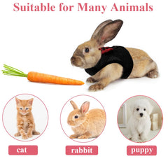 ASOCEA small-animals leash in use during outdoor walk