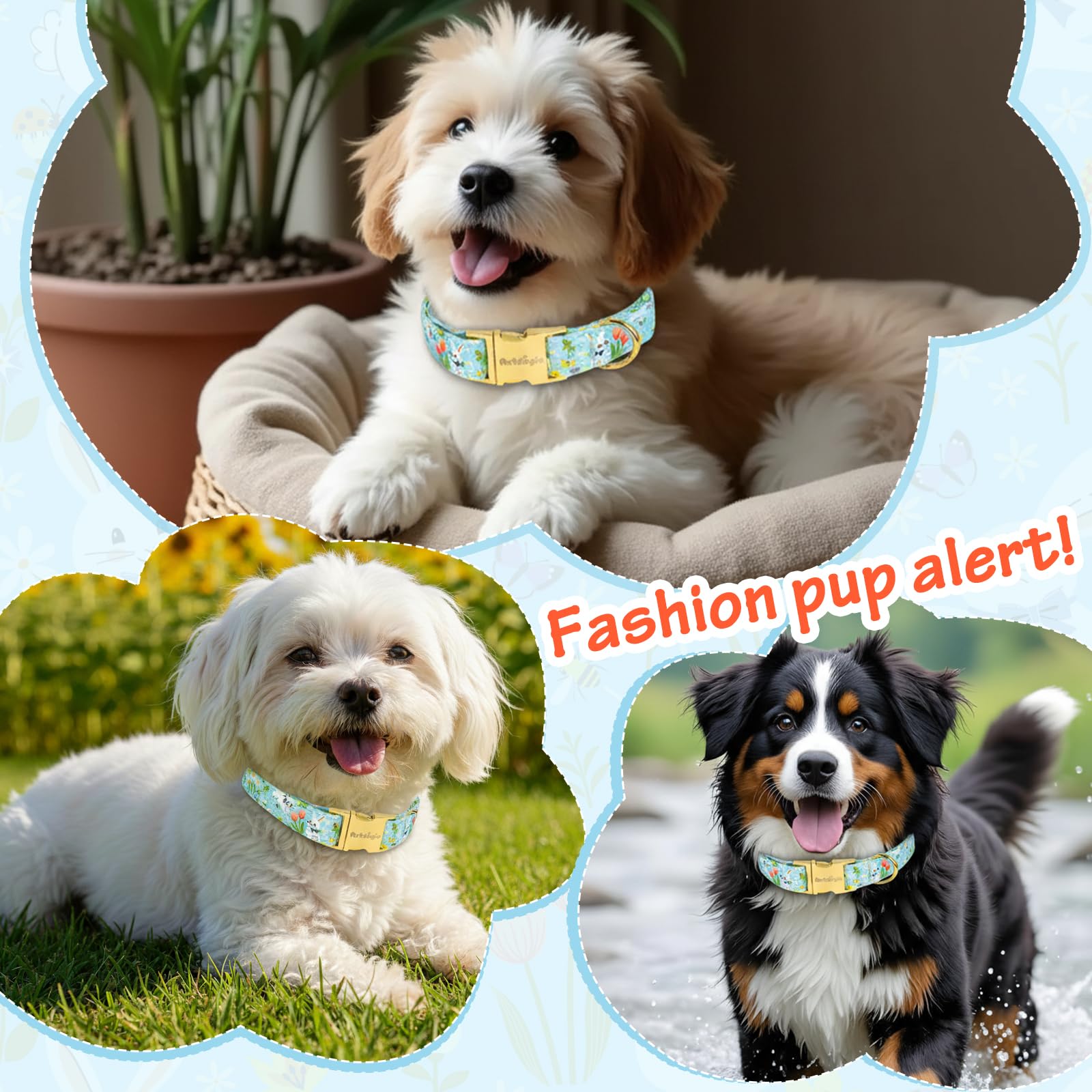 Astdogio shows 4-size XS to L with adjustable fit for different pups.