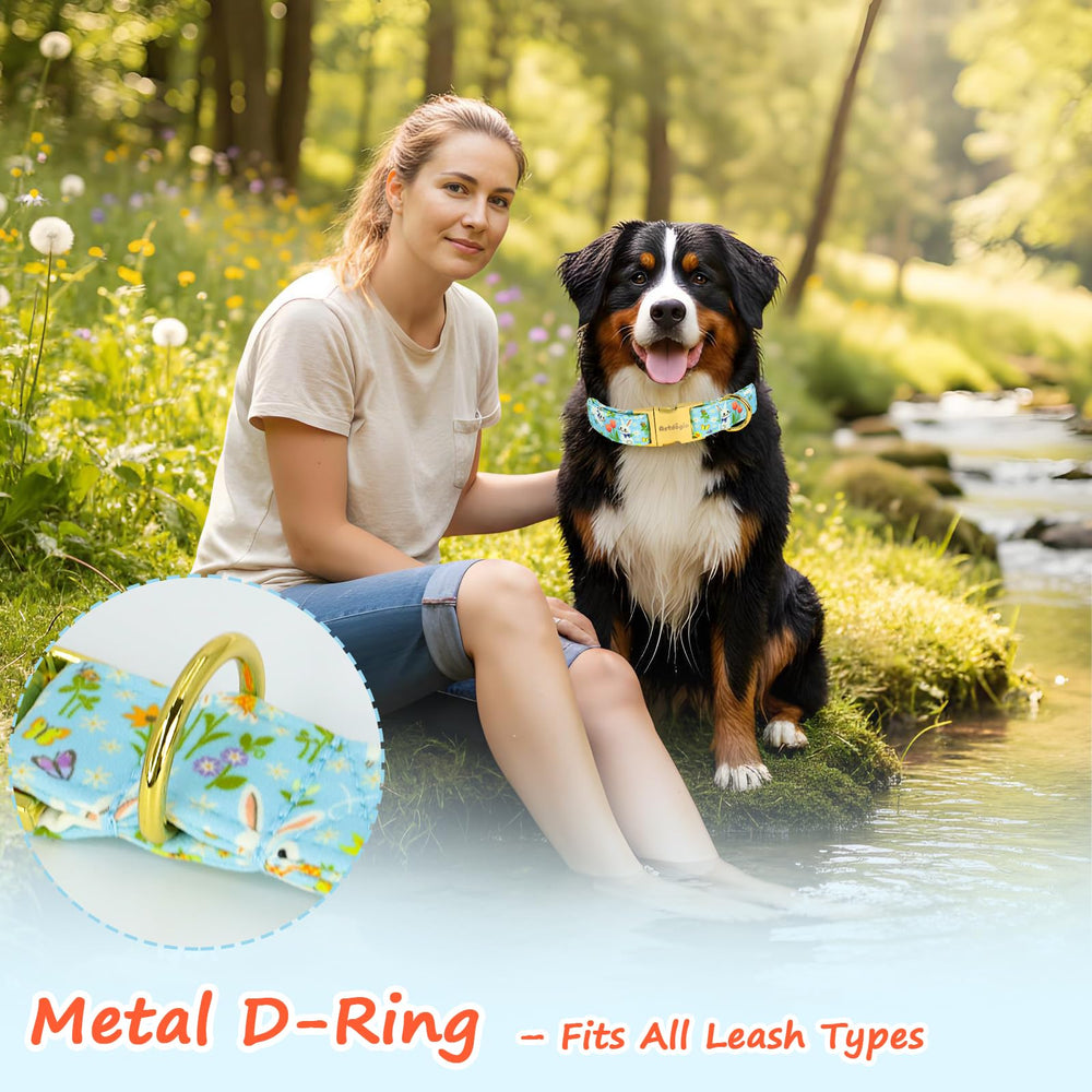 Astdogio Easter collar during a park stroll showcases stylish, seasonal design.