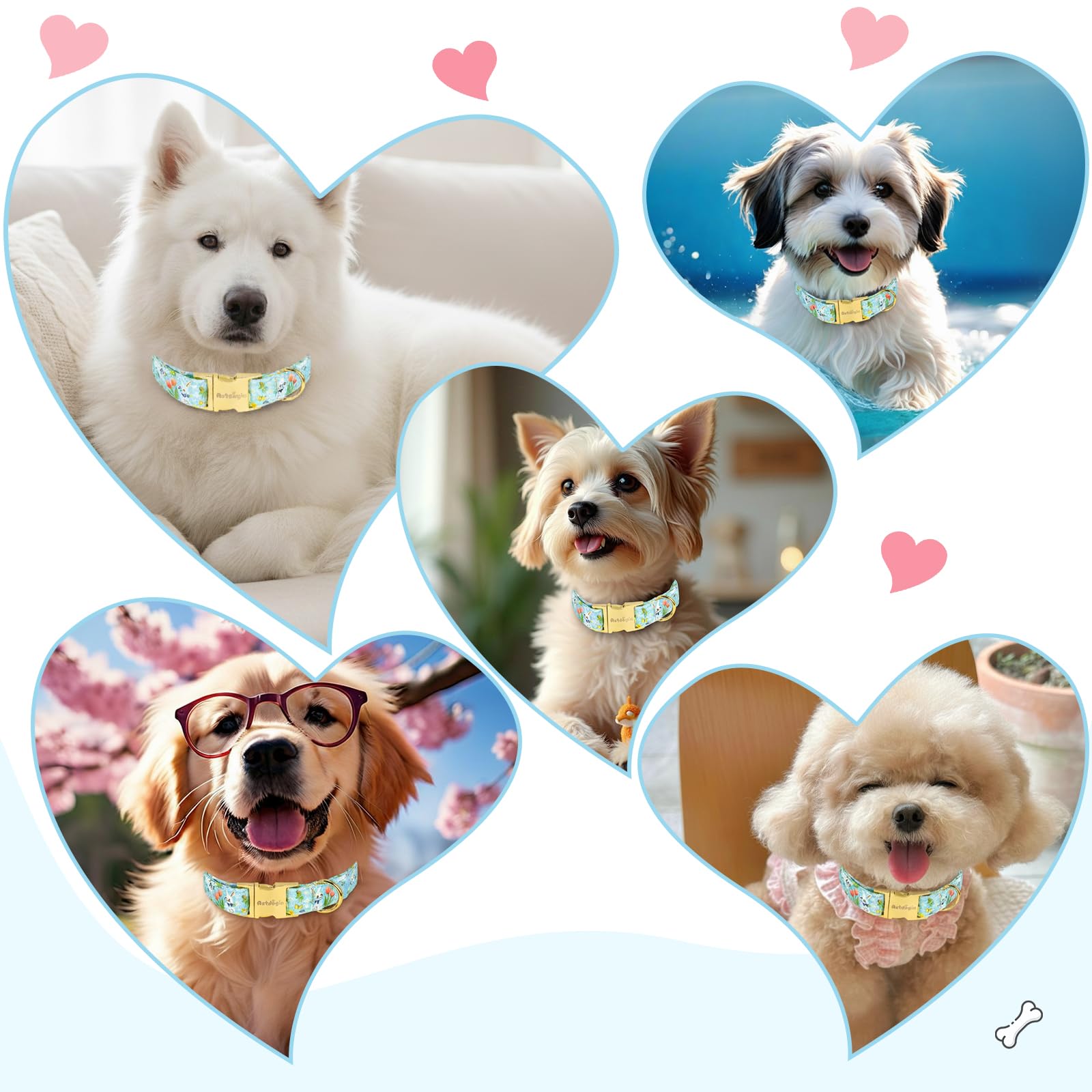 Astdogio gift-ready Easter collar packaging makes a thoughtful holiday present.