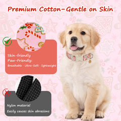 Astdogio handcrafted collar with smooth edges reduces chafing