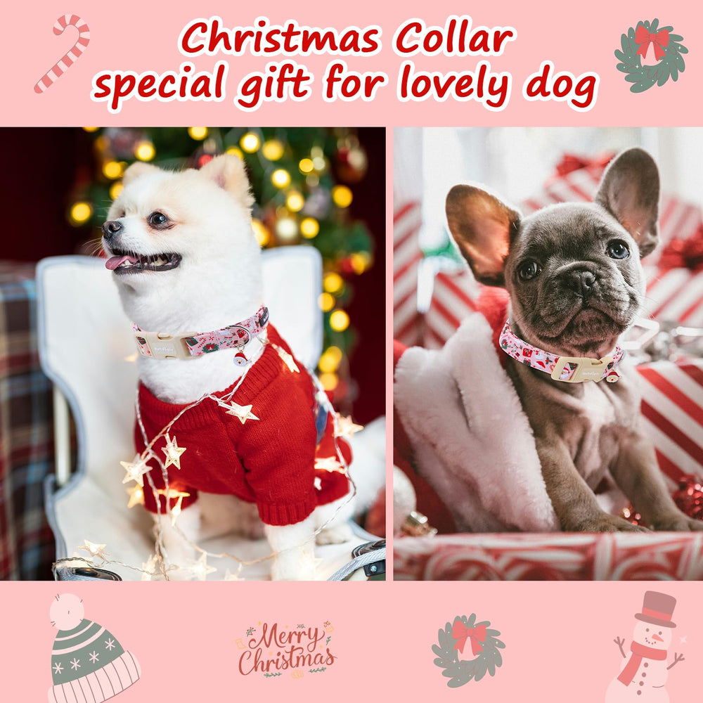 Astdogio pink winter collar on a dog showcases cute, eye-catching holiday style.