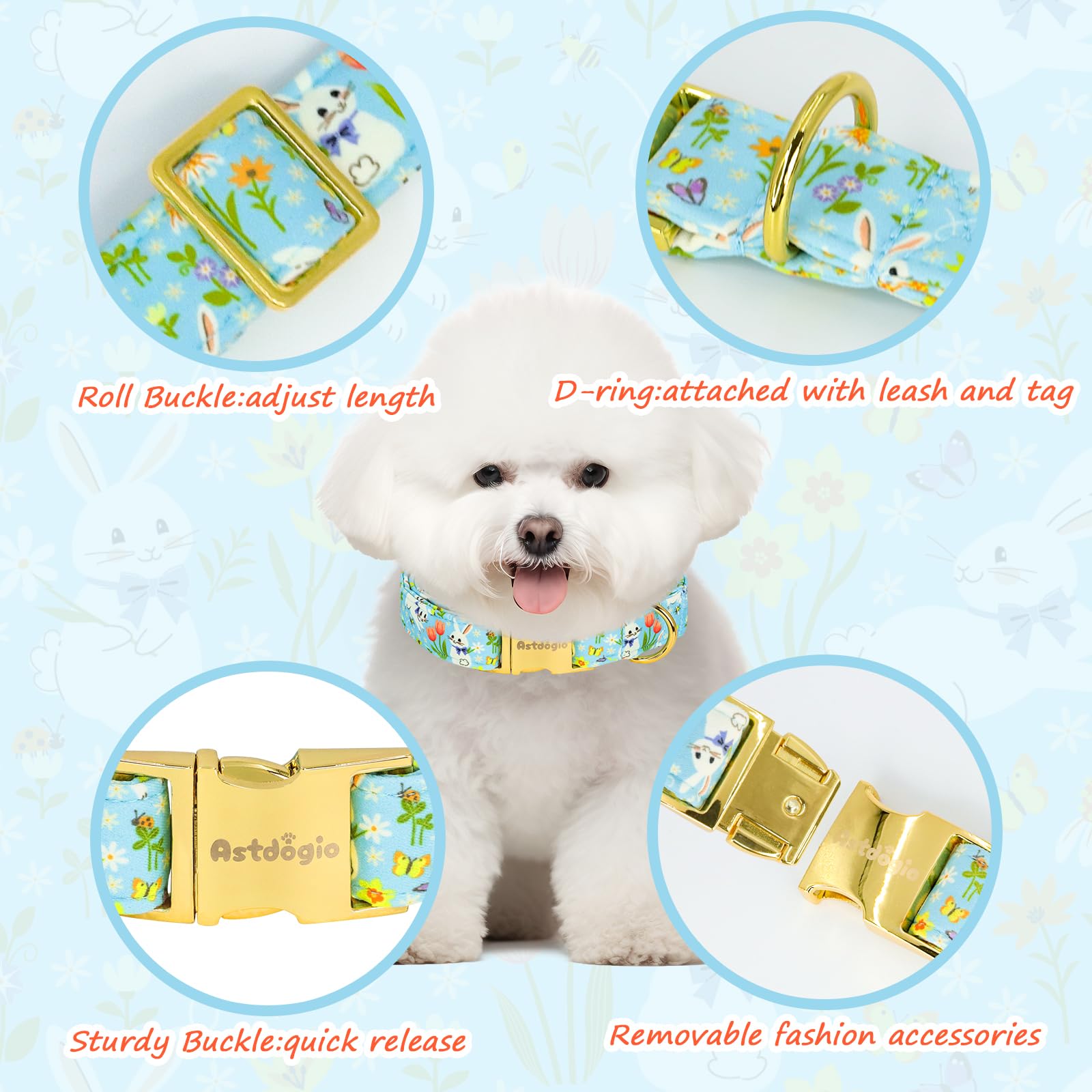 Astdogio quick-release buckle on the Easter collar for easy on and off.