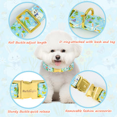 Astdogio quick-release buckle on the Easter collar for easy on and off.