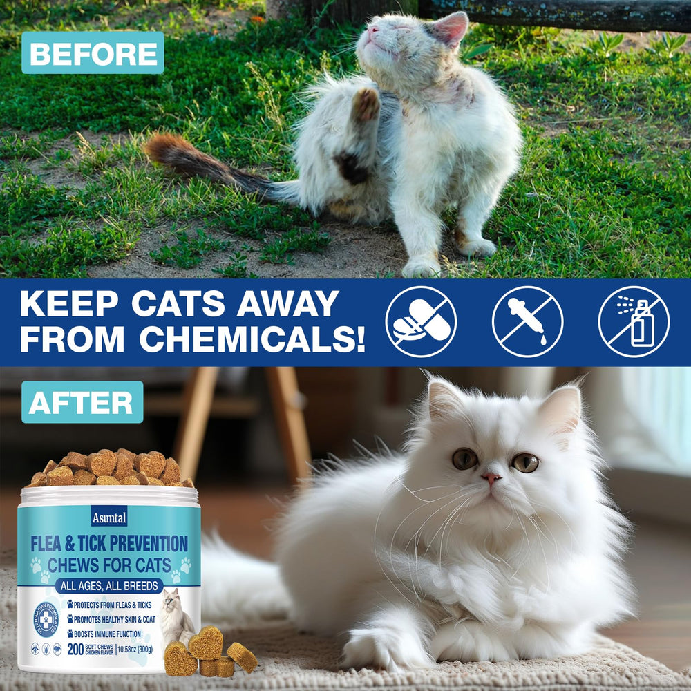 Asumtal immune-support-cat-chews emphasize vitamins for overall vitality