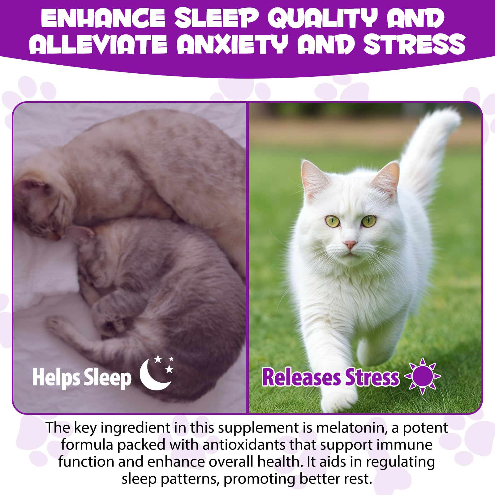 Asusxcli Melatonin for Cats natural plant-based formula for safe use.