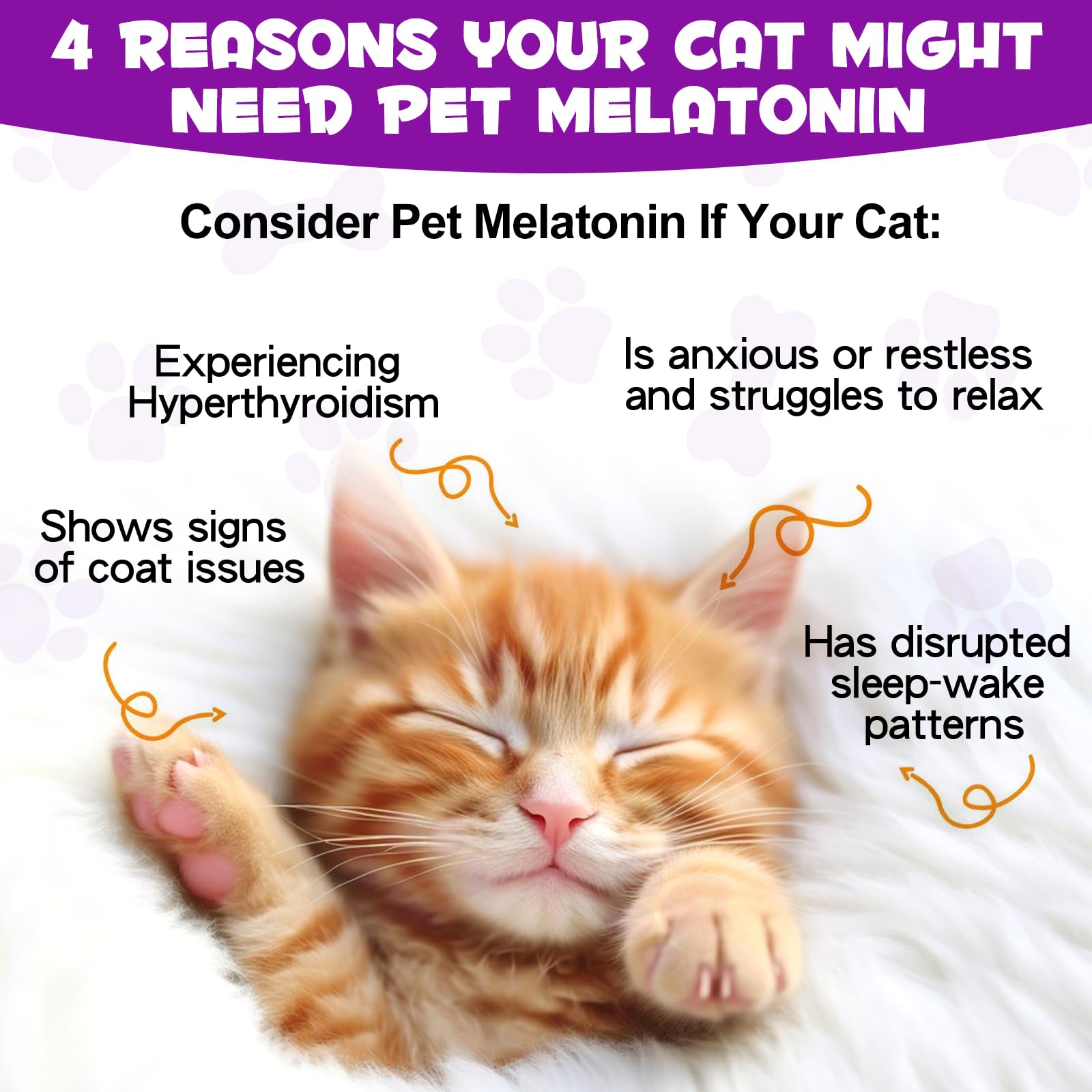 Asusxcli Melatonin cat tincture drops demonstrating gentle calming aid.