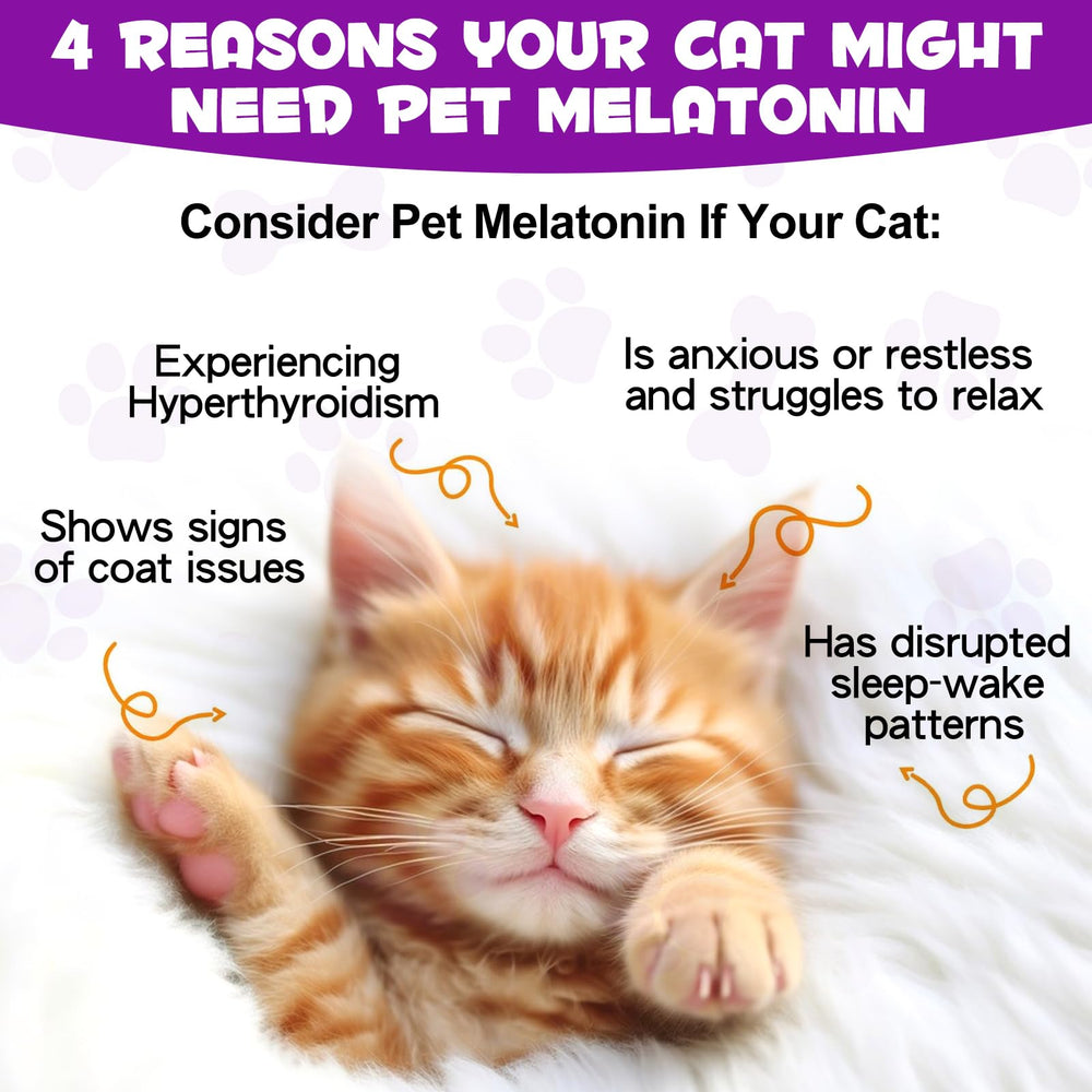 Asusxcli Melatonin cat tincture drops demonstrating gentle calming aid.