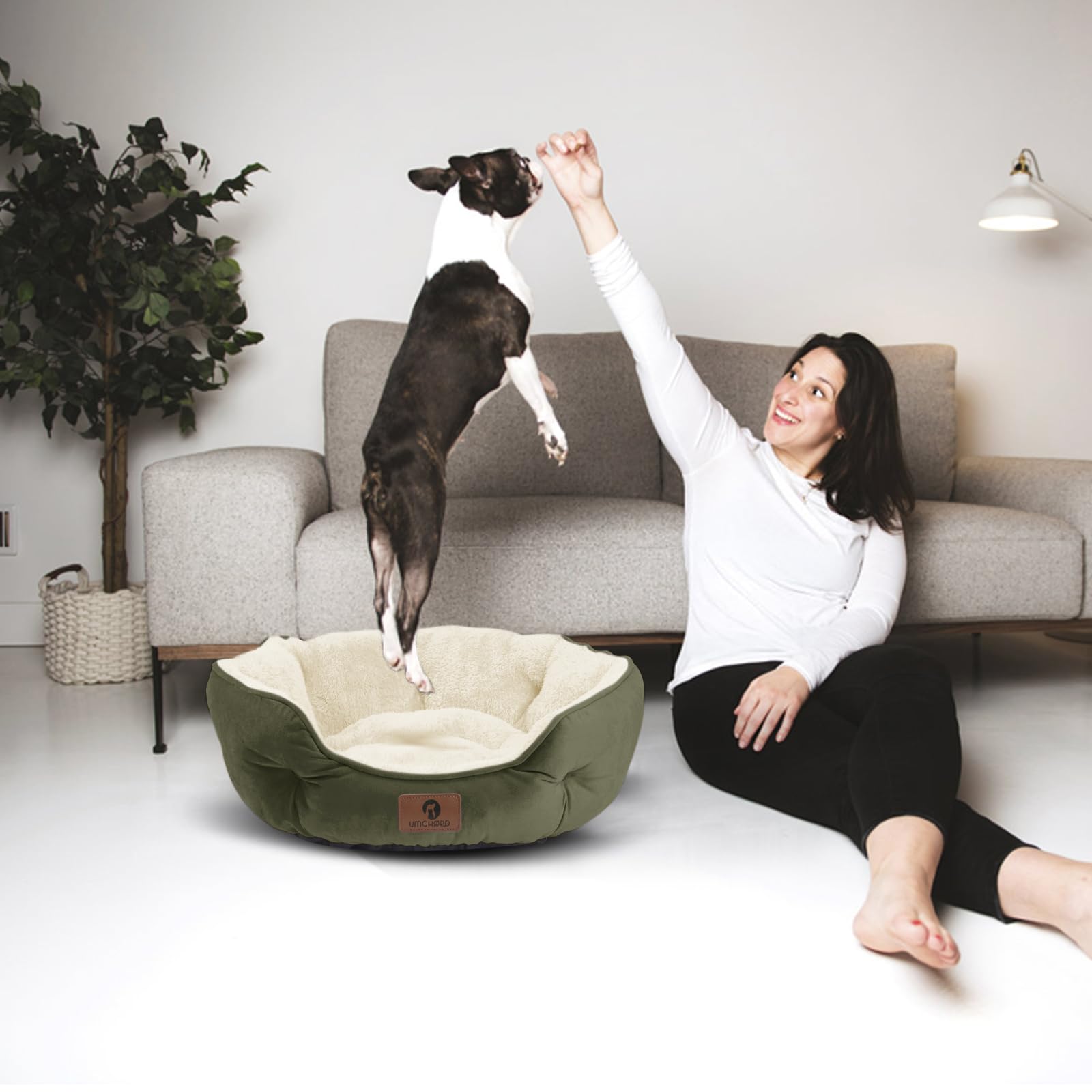 Asvin indoor comfort bed offers a soft spot for pets to relax.