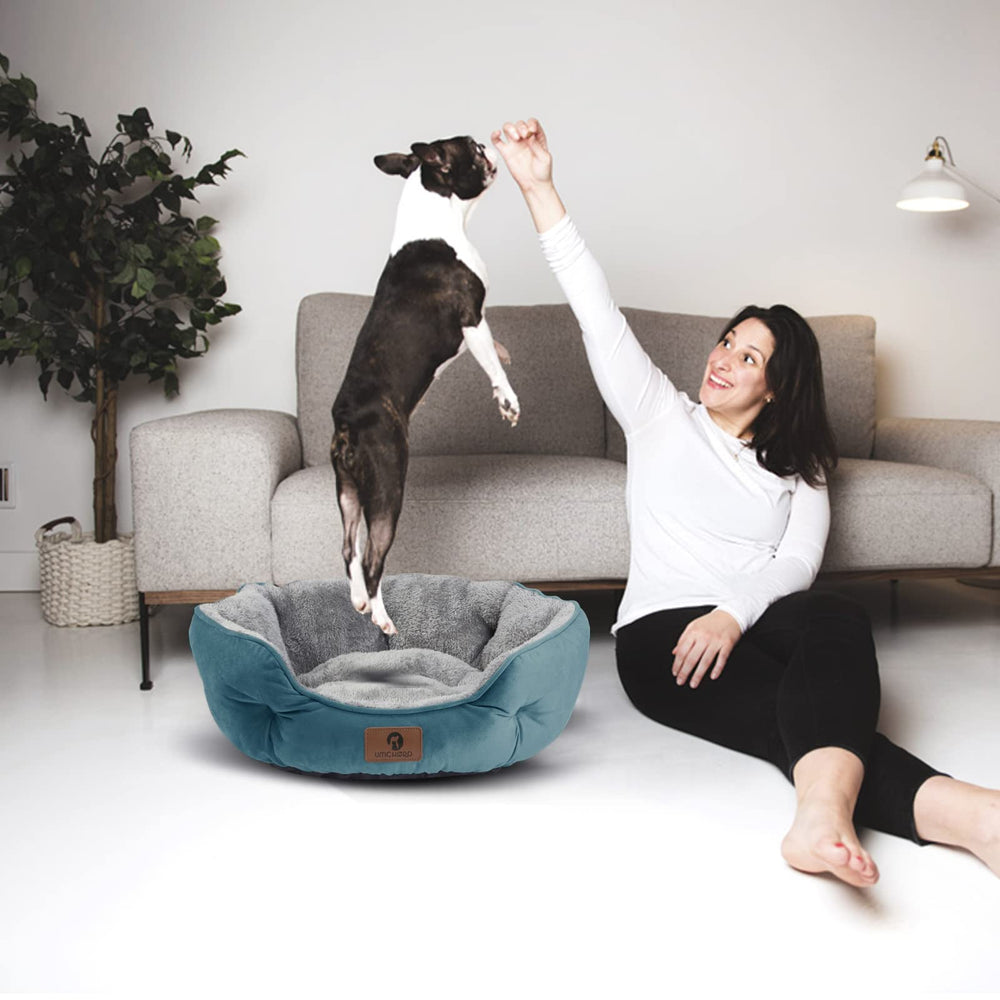 Asvin 20-inch bed fits small dogs and cats for cozy indoor use.