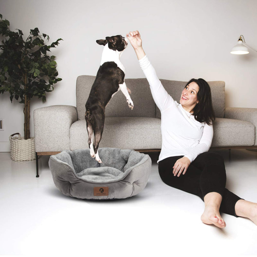 Asvin Small Dog Bed suitable for cats and dogs in a cozy home.