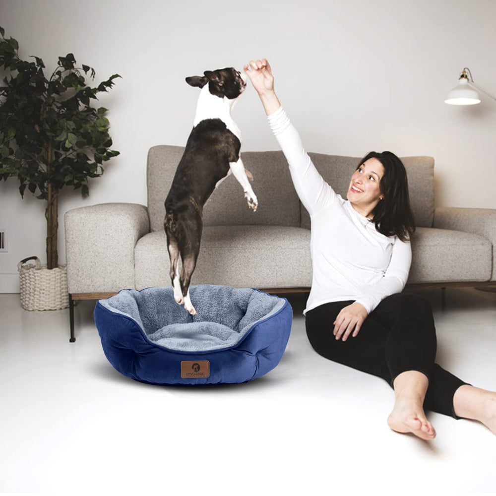 Asvin Small Dog Bed machine washable for easy cleaning and freshness.