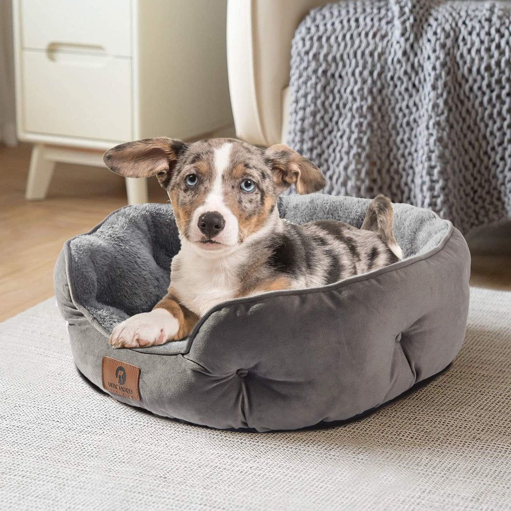 Asvin Small Dog Bed round design provides head and neck support.