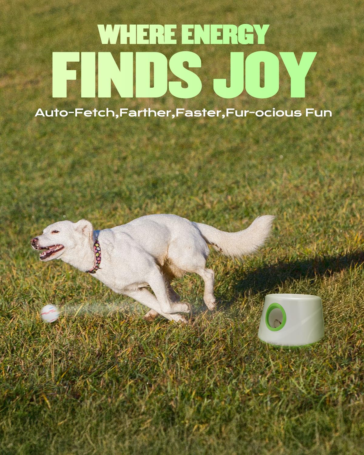 Atangee automatic dog ball launcher indoor-use view highlights quiet operation