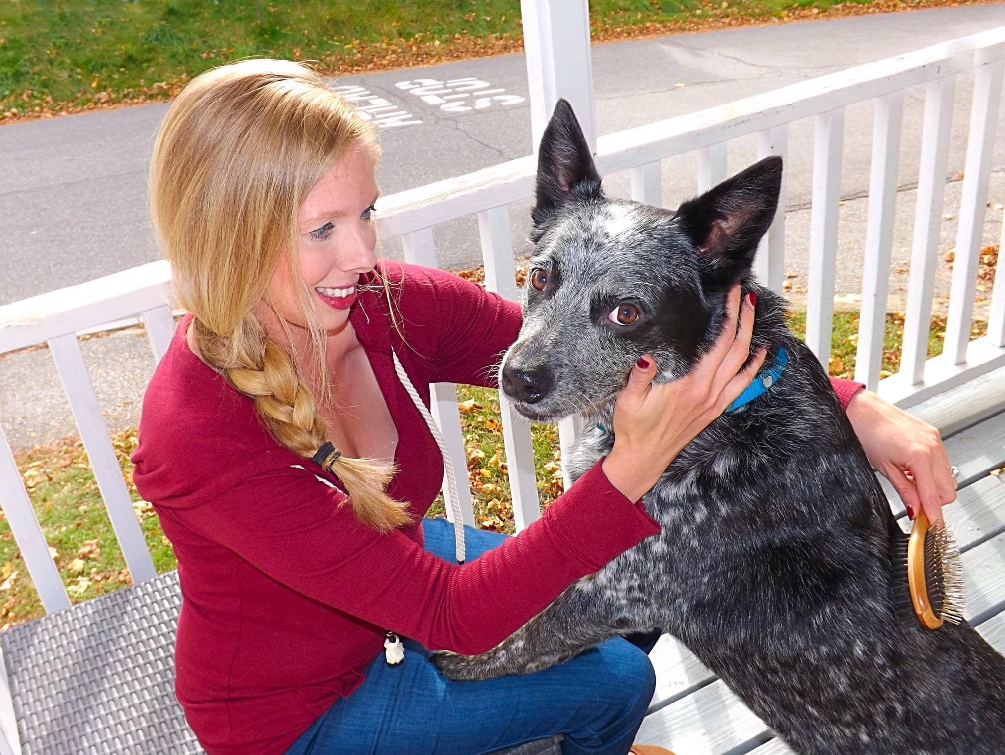 AtEase Accents dogs and cats grooming scene showcases dual-sided design for versatility