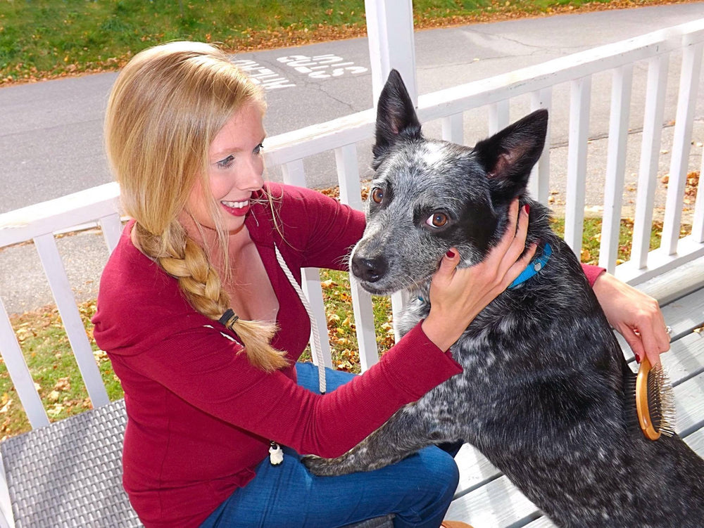 AtEase Accents dogs and cats grooming scene showcases dual-sided design for versatility