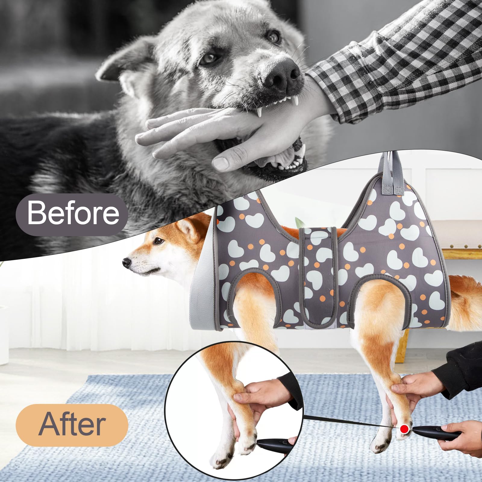 ATESON in-use setup demonstrates grooming at home without appointments.