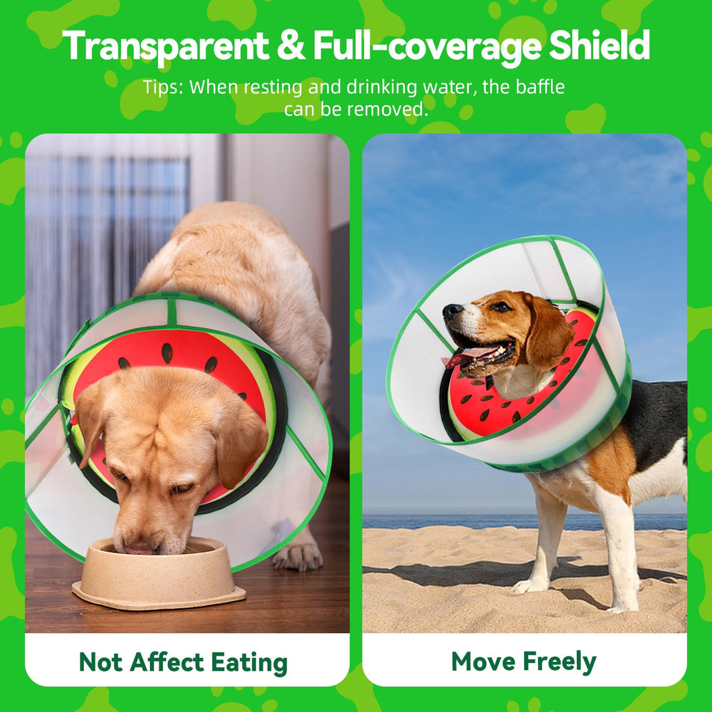 AThooDel pet using the cone during rest, highlighting gentle, recovery-friendly use.