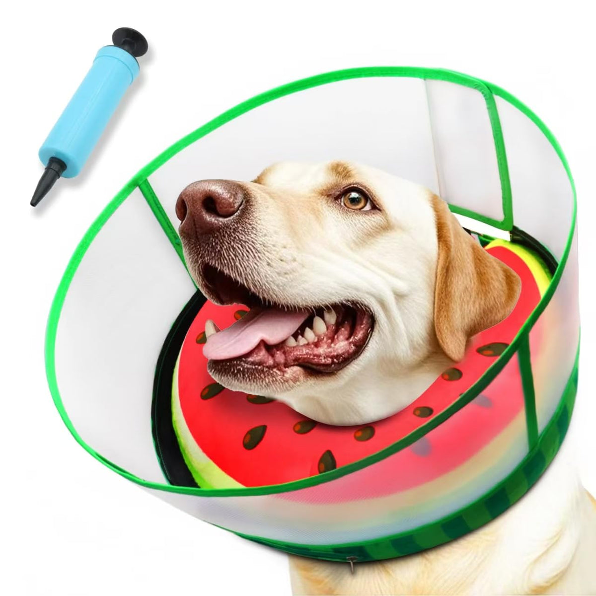 AThooDel upgraded inflatable dog cone in watermelon color, designed for comfortable healing and protection.