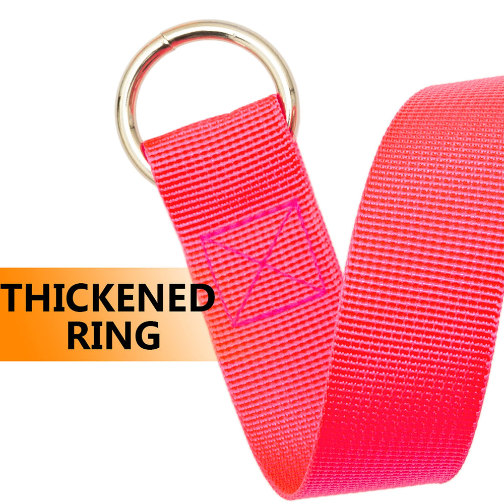 ATICNECH colorful leashes simplify coordinating multiple dogs for group training sessions.